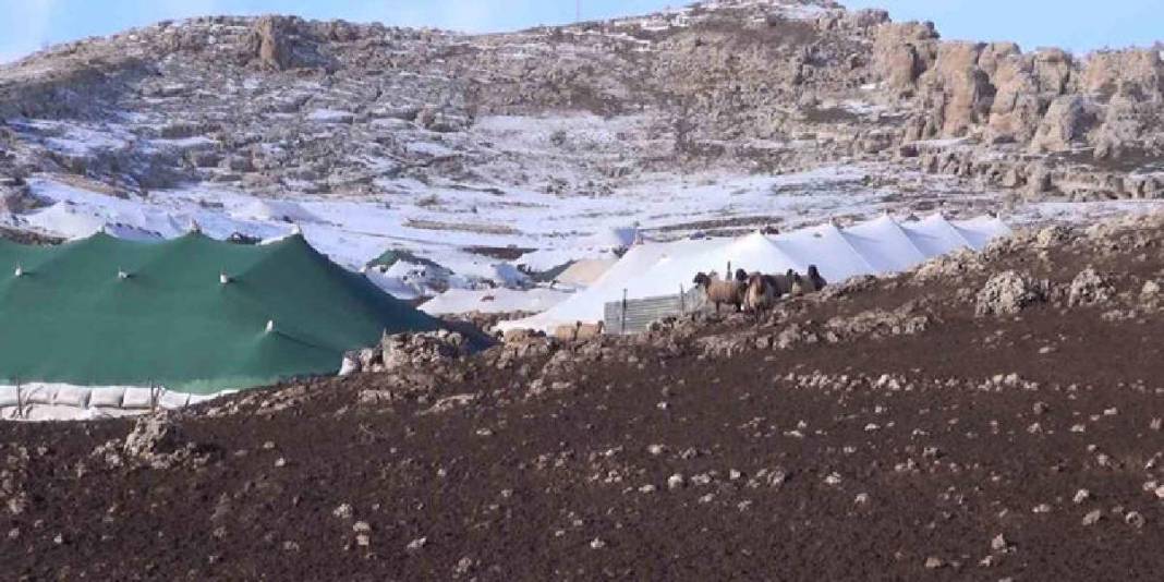 Ömürleri göç yollarında emekle geçiyor: Kışın sığındıkları köy konargöçer izleri taşıyor 4